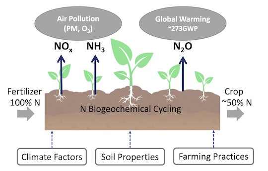 custo das emissões de nitrogênio reativo da agricultura fertilizada e seus riscos para as populações e o clima