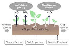 A study by Rice University environmental scientists analyzed the cost of reactive nitrogen emissions from fertilized agriculture and their risks to populations and climate. Nitrogen oxides (NOx) and ammonia (NH3) react to create air pollution in the form of particulate matter and ozone, while nitrous oxide (N2O) contributes to global warming and stratospheric ozone depletion. (Credit: Illustration by Lina Luo/Cohan Research Group)