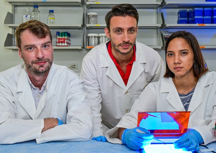 From left, Rice University bioscientist James Chappell and graduate students Andrea Ameruoso and Maria Claudia Villegas Kcam have developed a CRISPR-based technique that could boost the search for new antibiotics. (Credit: Jeff Fitlow