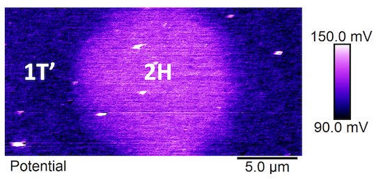 An image from a Kelvin probe force microscope shows the electronic potential distribution across the metallic and semiconductor phases of MoTe2. A team of researchers led by Rice University discovered piezoelectricity across phase boundaries in the material. (Credit: Ajayan Research Group/Rice University)