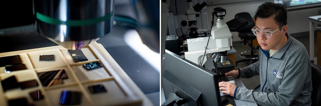 two-photo collage of lab samples (left photo) and researcher at microscope (right photo)
