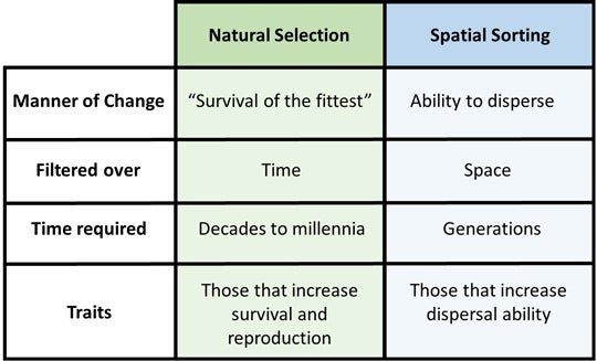 Table comparing natural selection and spatial sorting.
