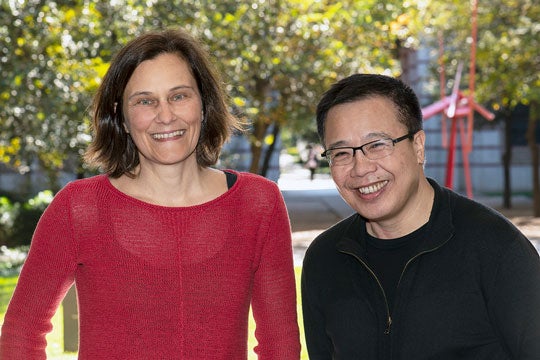 Physicists Silke Bühler-Paschen and Qimiao Si