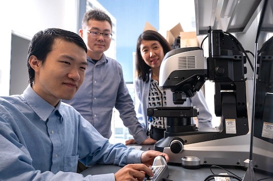 researchers
