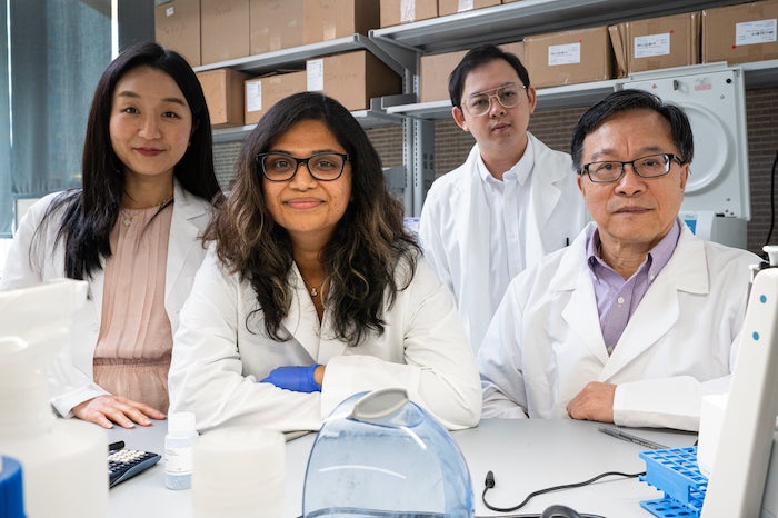 Rice University researchers are leading an effort to reveal potential threats to the efficacy of CRISPR-Cas9 gene editing. From left, Julie Park, Lavanya Saxena, Mingming Cao and Gang Bao. (Credit: Jeff Fitlow/Rice University)