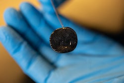 Pucklike bioelectronics designed at Rice University contain programmable bacteria and are attached to an electrode that delivers a signal when they detect a target contaminant, enabling real-time sensing. (Credit: Brandon Martin/Rice University)