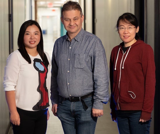 Rice University researchers, from left, Xue Sherry Gao, Anatoly Kolomeisky and Jie Yang are part of a strategy to avoid gene-editing errors by fine-tuning specific CRISPR-base editing strategies in advance. (Credit: Jeff Fitlow)