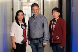 Rice University researchers, from left, Xue Sherry Gao, Anatoly Kolomeisky and Jie Yang are part of a strategy to avoid gene-editing errors by fine-tuning specific CRISPR-base editing strategies in advance. (Credit: Jeff Fitlow/Rice University)