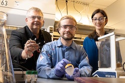 A Rice University lab has discovered a path to synthesis of a rare molecule drawn from poppies, setigerumine I. The molecule could become a building block for painkillers and other drugs. From left, Rice researchers László Kürti, holding a model of the molecule; lecturer Juha Siitonen, holding a flask of the synthesized setigerumine I, and undergraduate Anavi Serna. (Credit: Jeff Fitlow/Rice University)