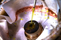 Rice University graduate student Siraj Sidhik prepares to spin-coat a substrate with a compound that solidifies into a 2D perovskite. Rice engineers have found the perovskite shows promise for efficient, robust solar cells. (Credit: Jeff Fitlow/Rice University)