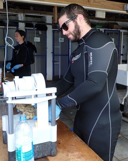 graduate student Alex Veglia sampling a coral