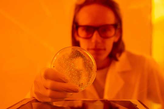 Rice University graduate student Maxwell Hunt holds a plate of glowing E. coli