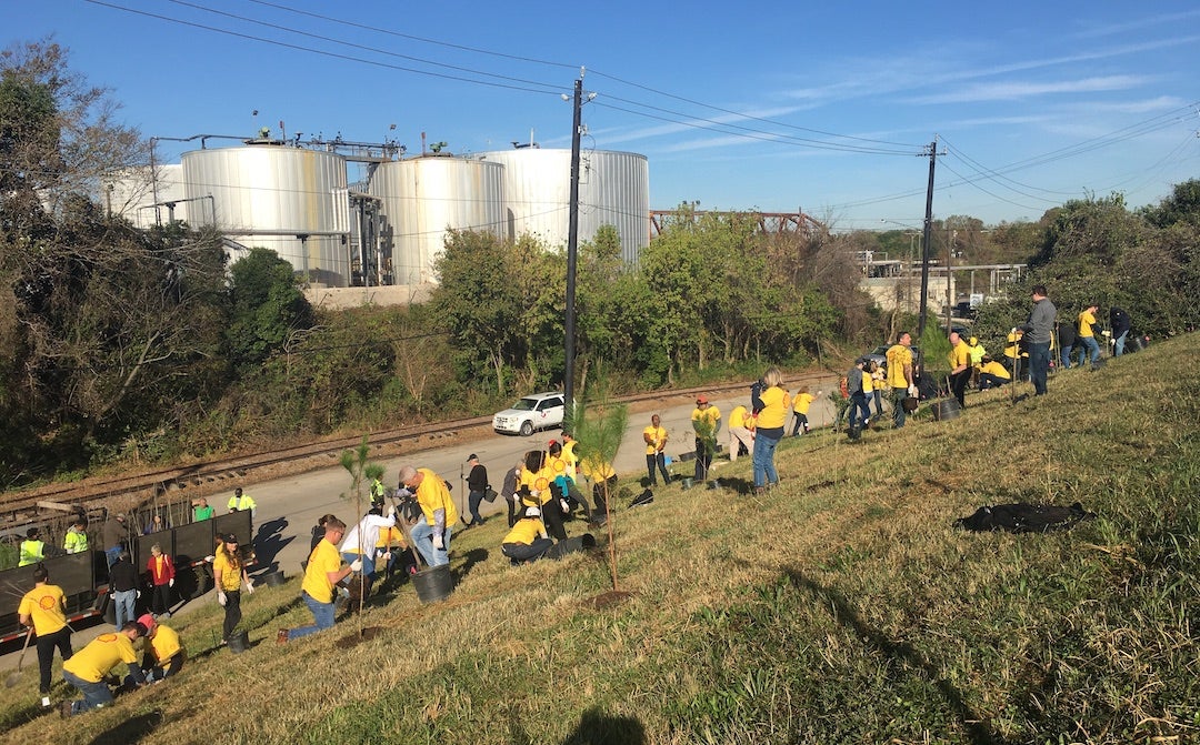 Houston Wilderness and corporate volunteers plant “super trees” at an industrial site along Peavy Drive, near Buffalo Bayou. Members of Rice University’s Department of Statistics helped produce a new study that offers strategies to other cities interested in planting trees to mitigate environmental concerns. (Credit: Houston Wilderness)