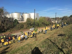 Houston Wilderness and corporate volunteers plant “super trees” at an industrial site along Peavy Drive, near Buffalo Bayou. Members of Rice University’s Department of Statistics helped produce a new study that offers strategies to other cities interested in planting trees to mitigate environmental concerns. 