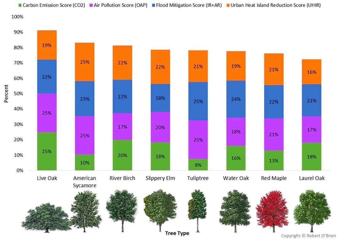 A graphic shows the top “super trees” able to help the fight against climate change in Greater Houston. A new study by Houston Wilderness, the city of Houston and Rice University offers strategies to other cities for using similar data to impact their environments. (Source: Hopkins, L. P., January-Bevers, D. J., Caton, E. K., & Campos, L. A. (2021). 