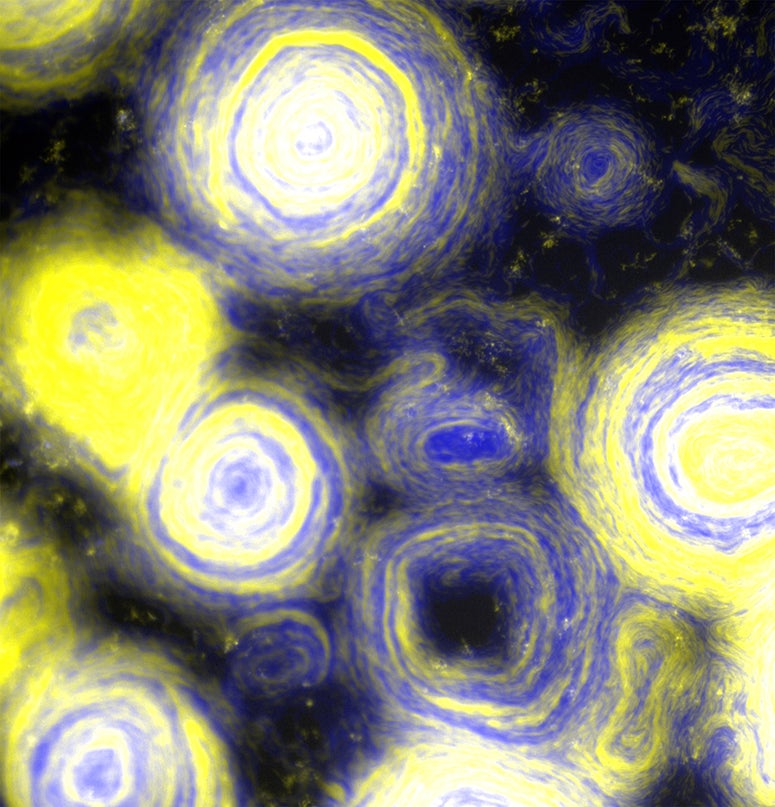 False-color image of Myxobacteria reminiscent of Van Gogh's "The Starry Night"