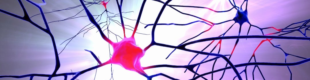 stock image of neurons