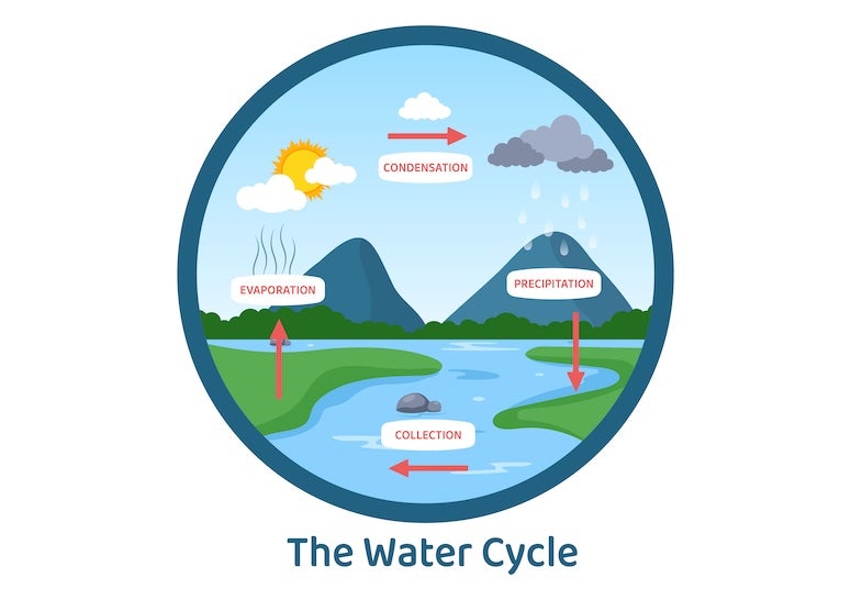 A graphic of the water cycle.