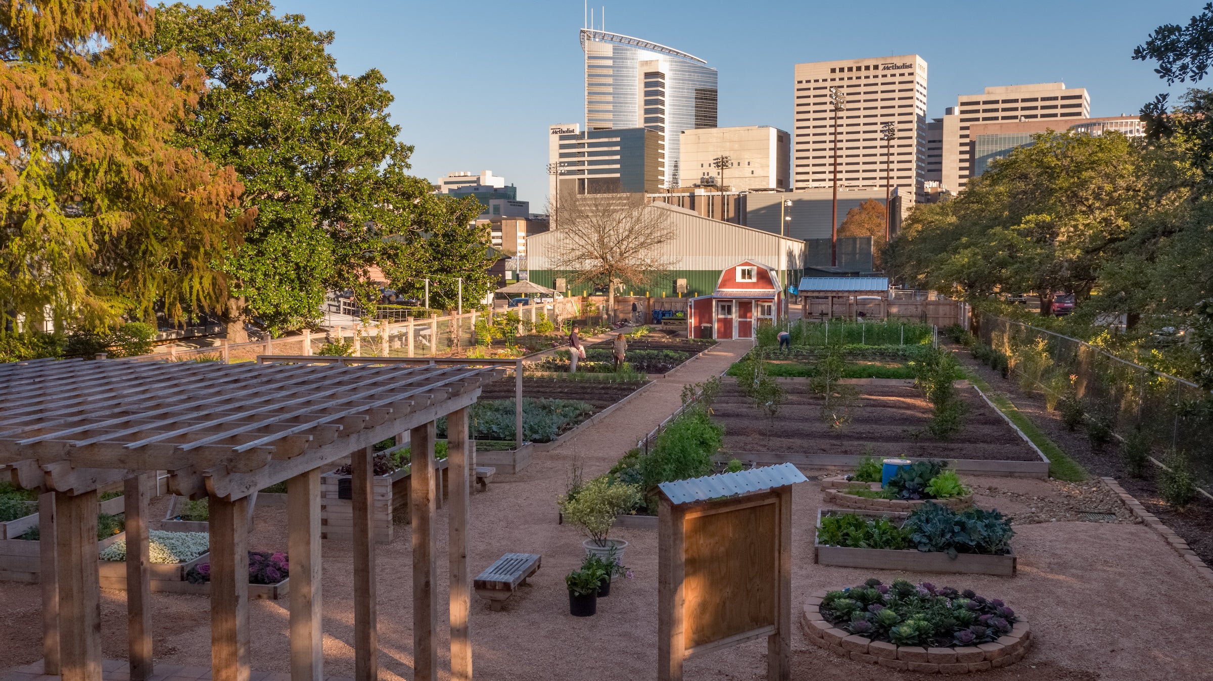 The Rice Holistic Garden is located at Entrance 8 on Stockton Dr. (Photo by Brandon Martin)