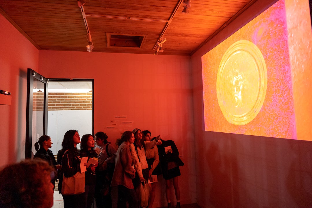 Attendees viewing "Butterflies" multimedia installation