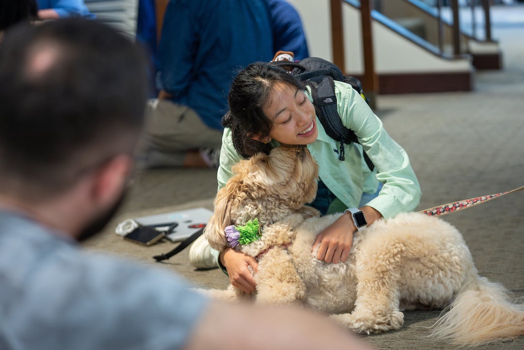  End-of-semester dog therapy sessions at Fondren Library are being sponsored in partnership with the Rice Student Association for Rice students in need of a finals pick-me-up.