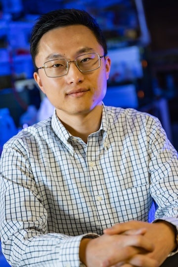 Haotian Wang