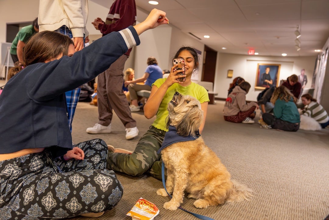 As per annual tradition, the Rice Student Association and Fondren Library sponsored three sessions with therapy dogs the week of  Dec. 4.