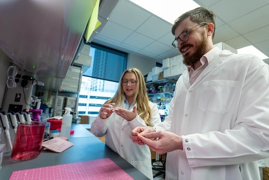 researchers in lab coates examine wound healing pacthes