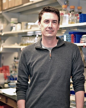 matthew bennet