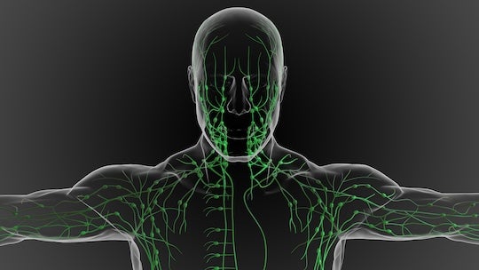 lymphatic system