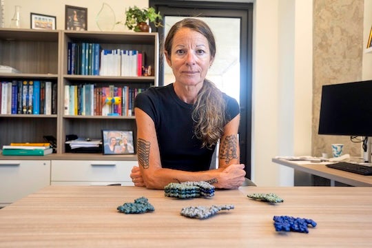 Pernilla Wittung Stafshede. Photo by Johan Wingborg