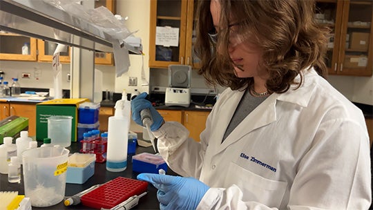 Elise Zimmerman working in the Chappell Lab 