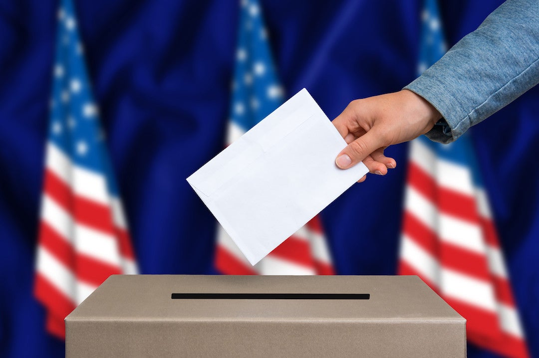 Photo of person voting.
