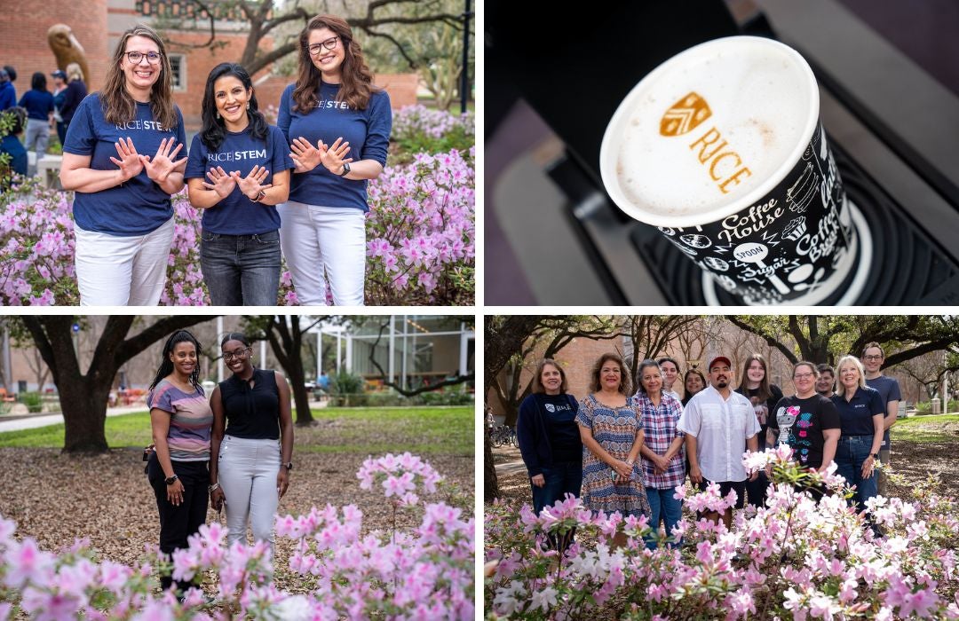 Rice University Blue in Bloom