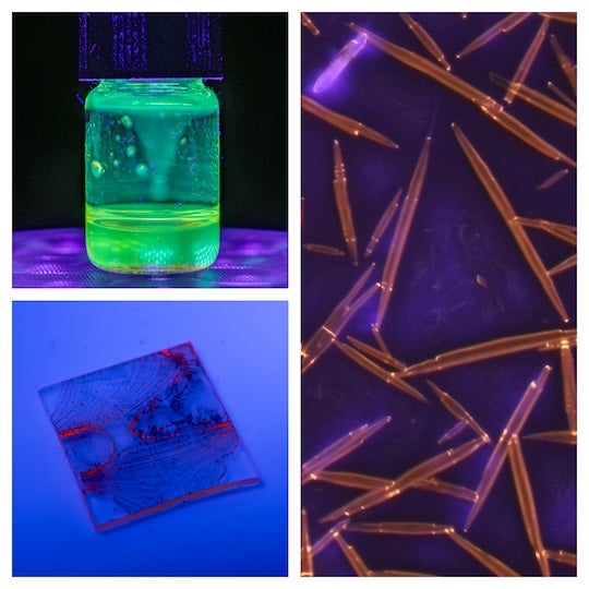 A bottle with green glowing contents. A slide with red glowing lines. A microscopic images of red rods laying at angles to each other.
