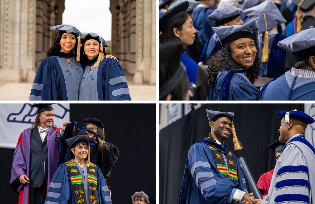Students graudate from Rice University in May 2026