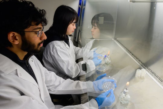 researchers in the Gao lab