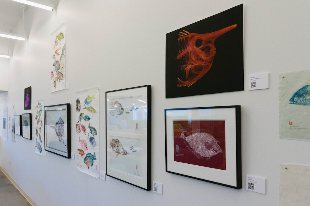 picture of the exhibit