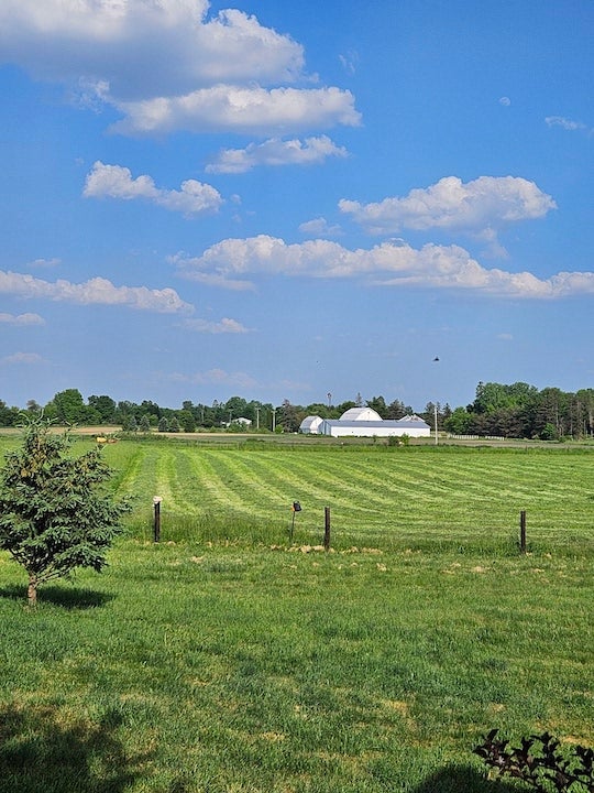 Photo of hay field in Midwest