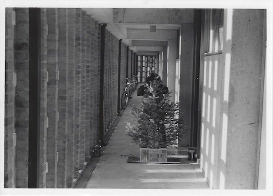 1975 Lovett Christmas party tree.