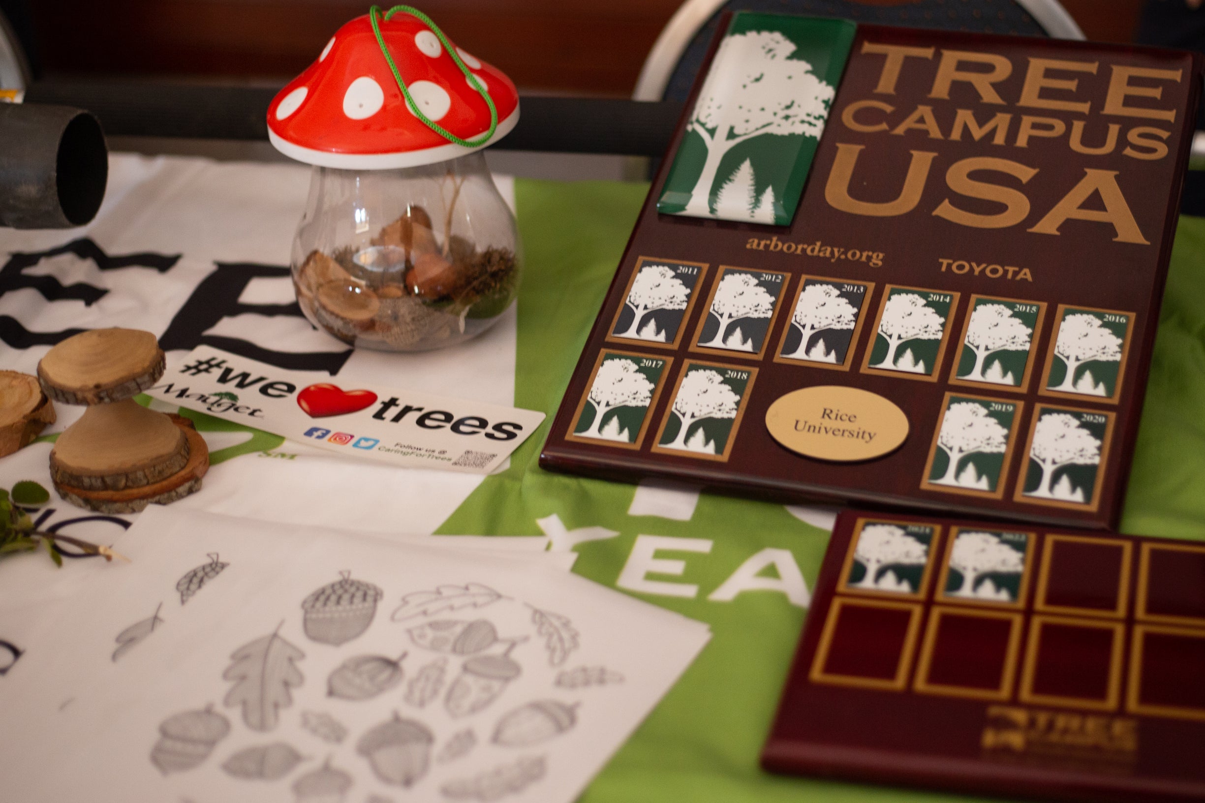Mushrooms to the rescue