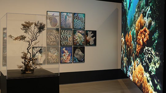 Imaging after Photography