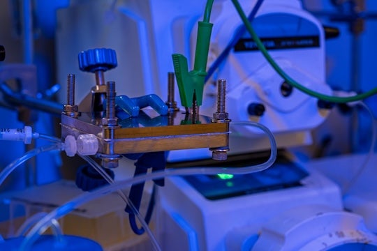 A photo of the electrochemical cell set-up in the Rice lab (Credit: Jorge Vidal/Rice University). 