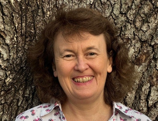Lisa Spiro