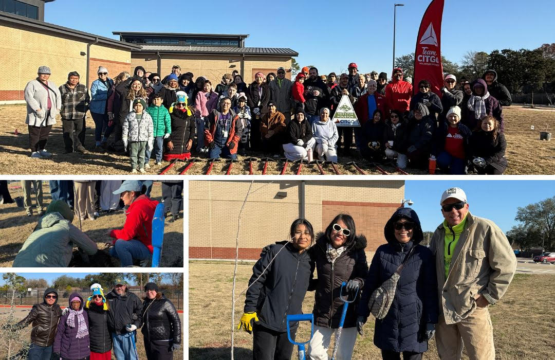 A collage of photos showing volunteers working to plant trees in a dirt and grass field.