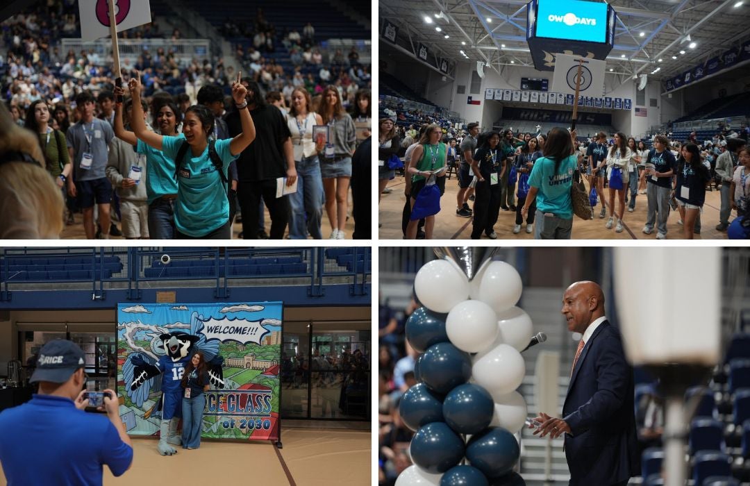 A collection of photos from Owl Days