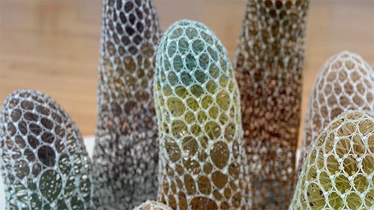Sui Park, Microcosm