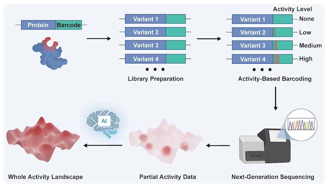 A graphic showing the data generating and AI training process described in text.