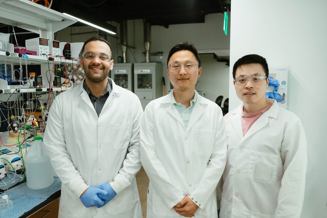 The Wang Group