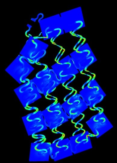 Simulation of stress distribution in the stretchable moisture-activated battery (Courtesy of Raudel Avila, Rice University).